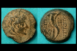 Seleucid, Alexander II Zebinas, Double Cornucopia Reverse